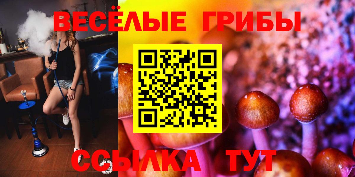 Псилоцибиновые грибы GOLDEN TEACHER Гулькевичи